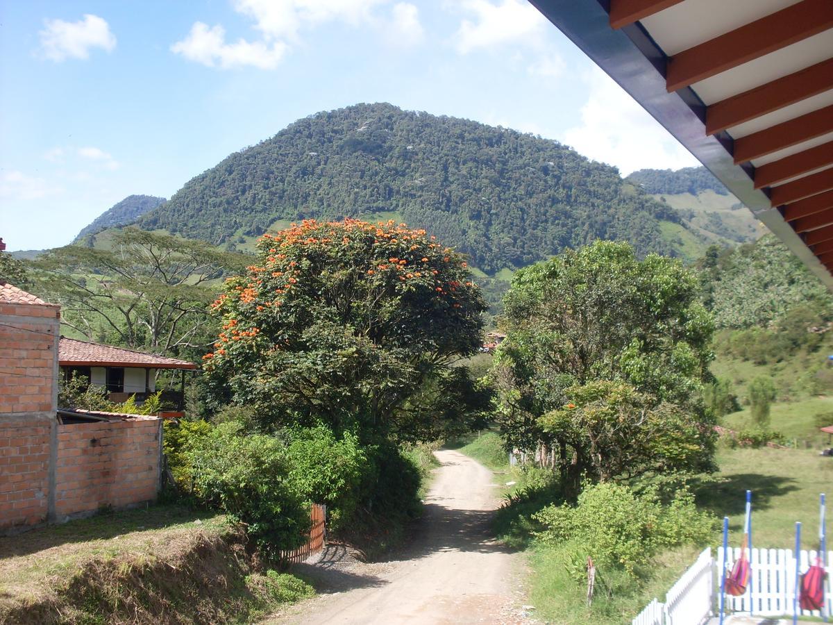 Internacional * Jardín