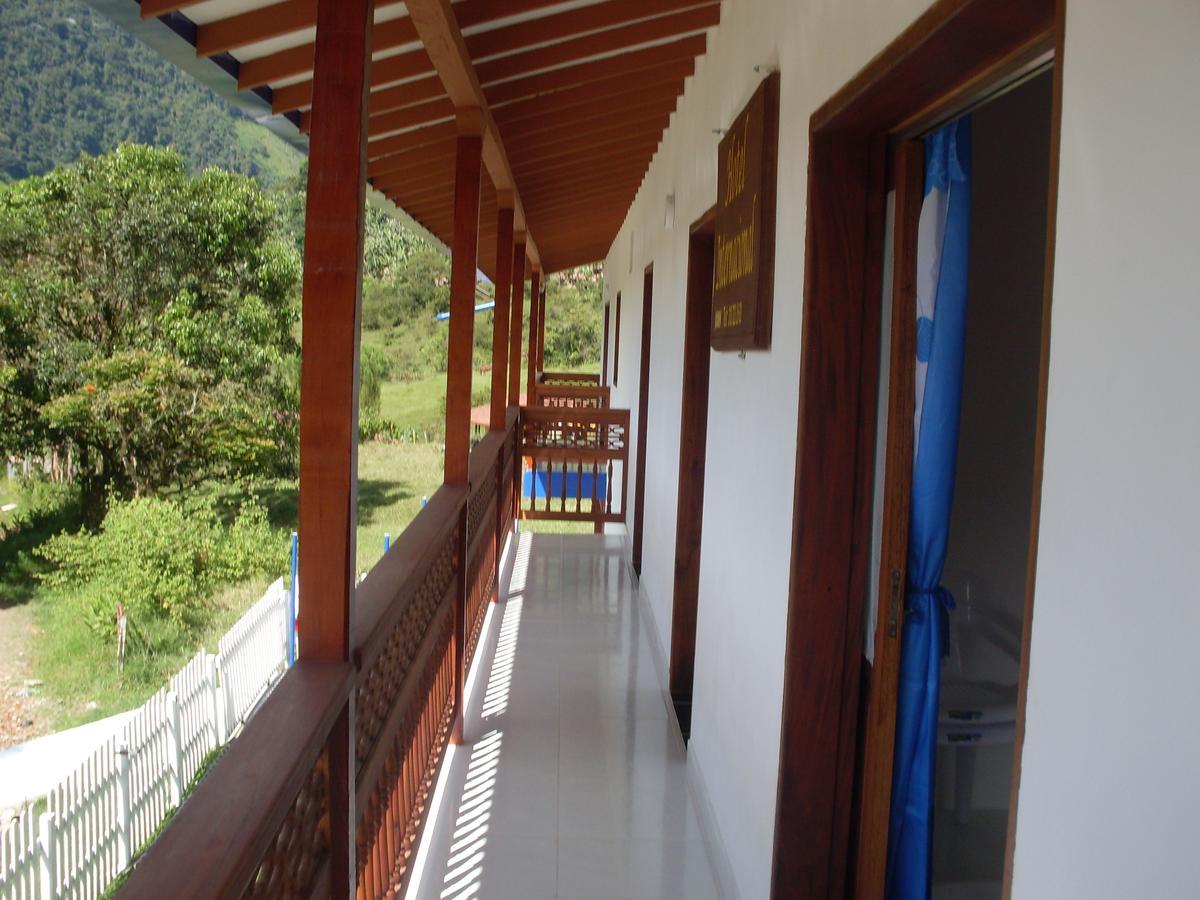 Internacional * Jardin