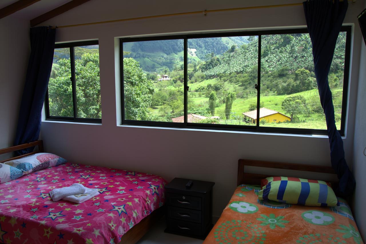 Internacional * Jardín