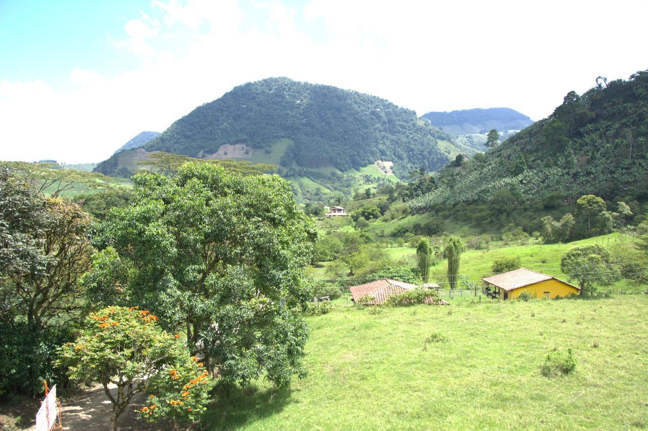Internacional * Jardin
